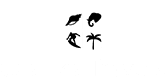 Olanka Travels