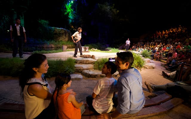 Night Safari Show