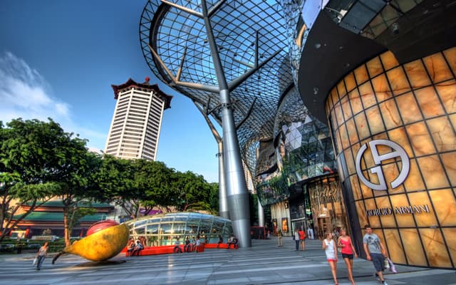 ION Orchard