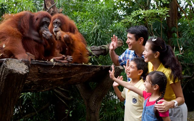 Singapore Zoo