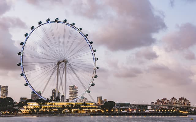 Singapore Eye