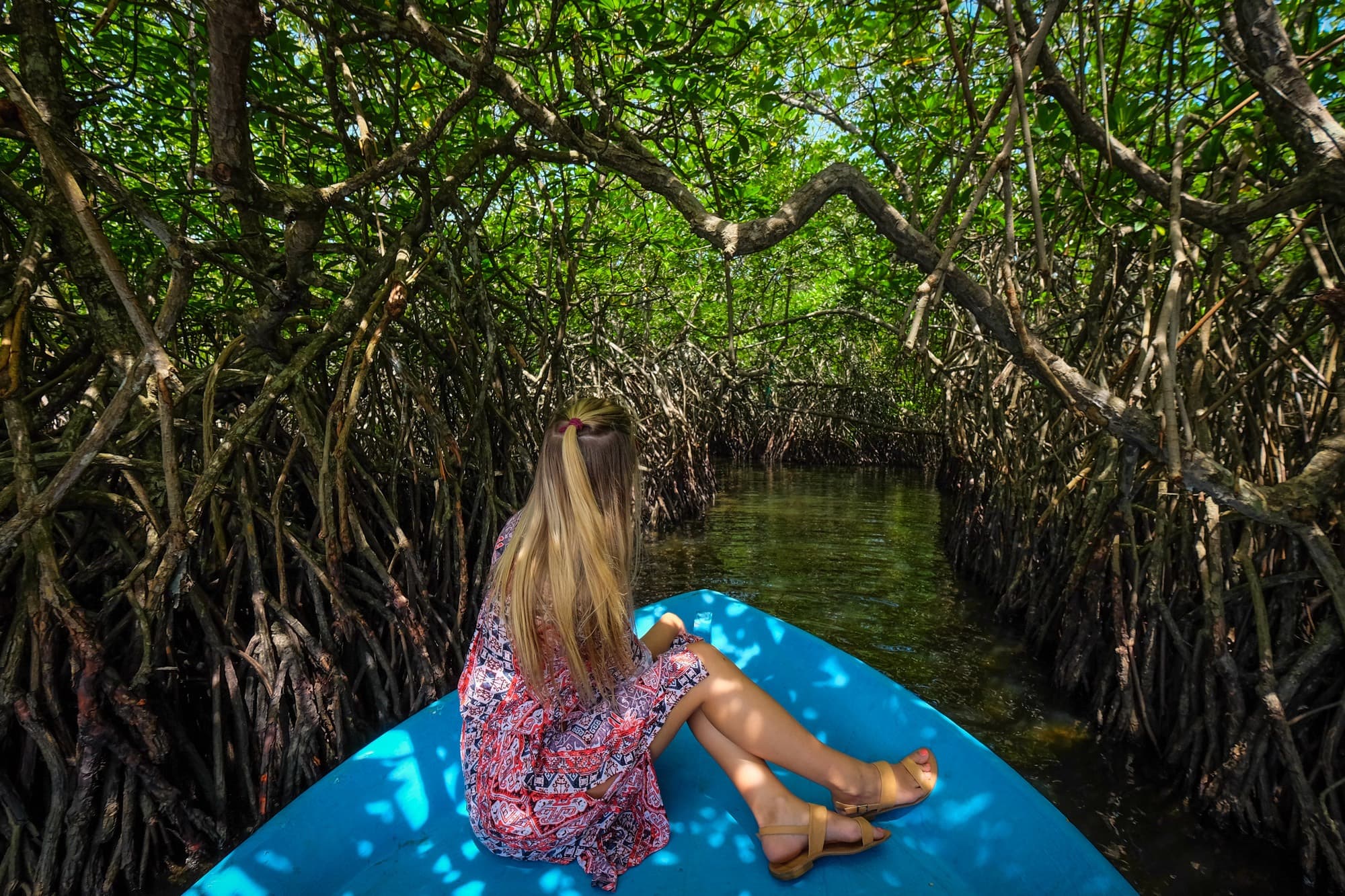 Forest Boat Tour