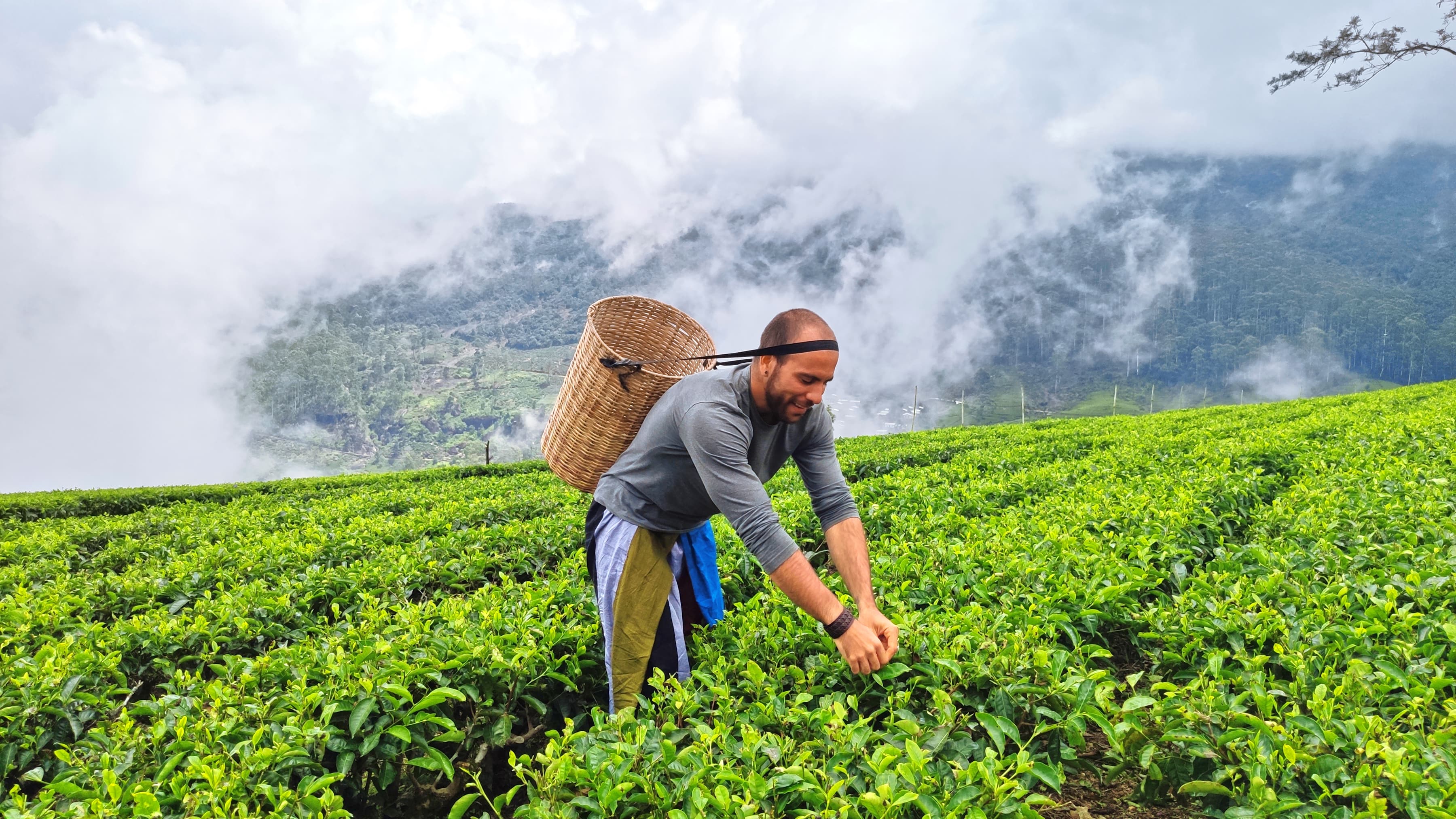 07 Best things to do in Nuwara Eliya, Sri Lanka