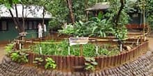 World's best spices at Spice Garden